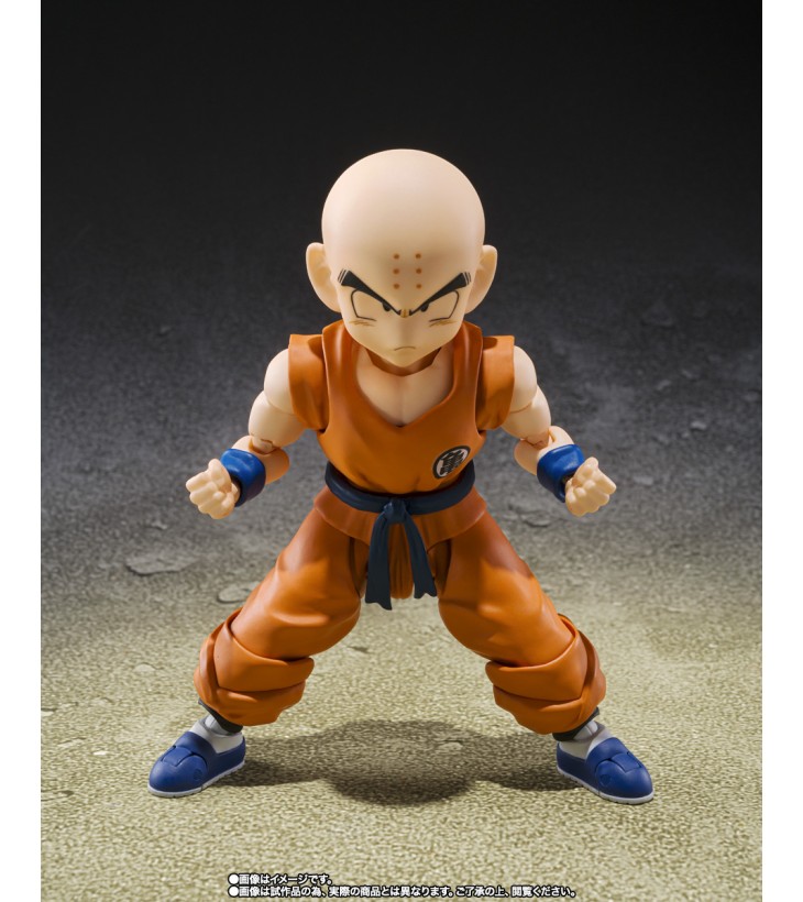 DRAGON BALL Z SH FIGUARTS...