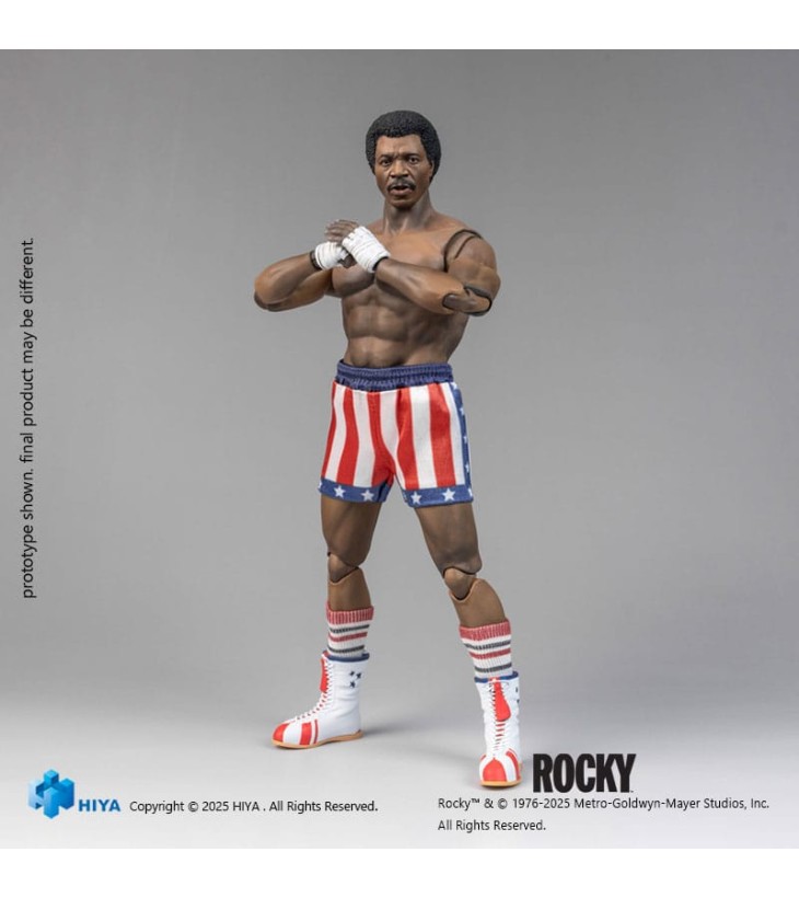 ROCKY EXQUISITE SUPER...