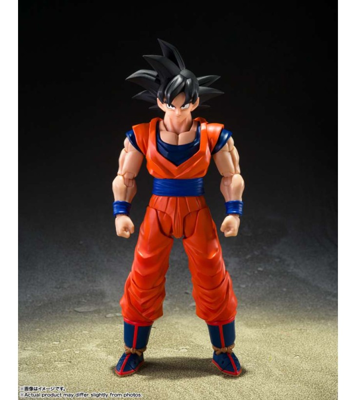 DRAGON BALL Z SH FIGUARTS...
