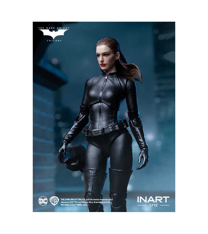 THE DARK KNIGHT RISES INART...