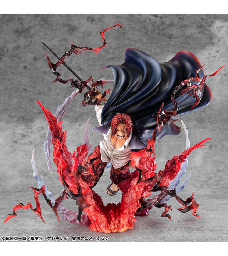 ONE PIECE PORTRAIT OF...