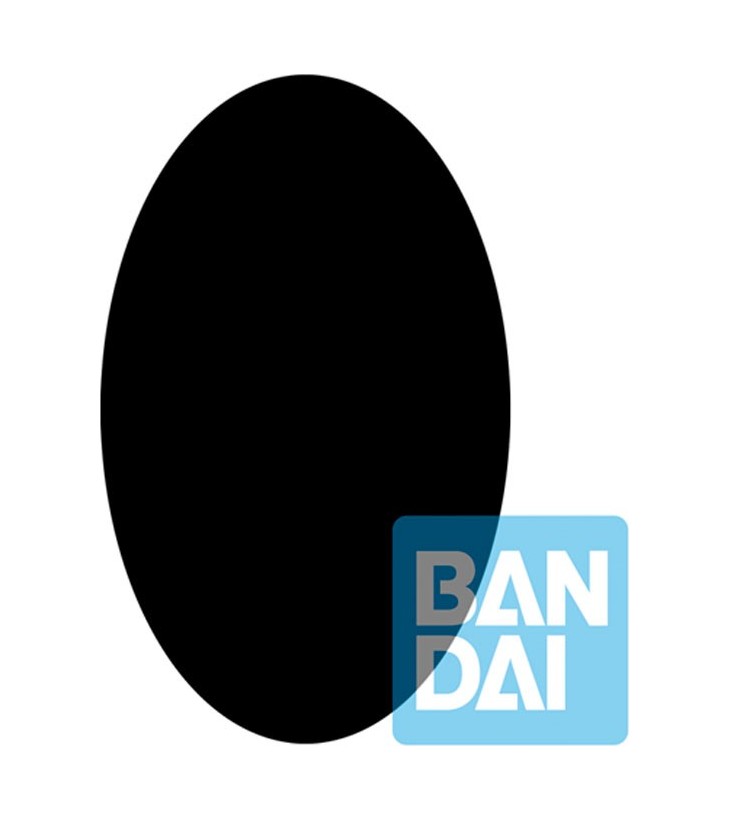 DRAGON BALL Z SPECTACLE...