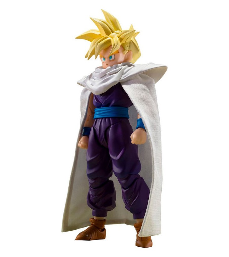 DRAGON BALL Z SH FIGUARTS...