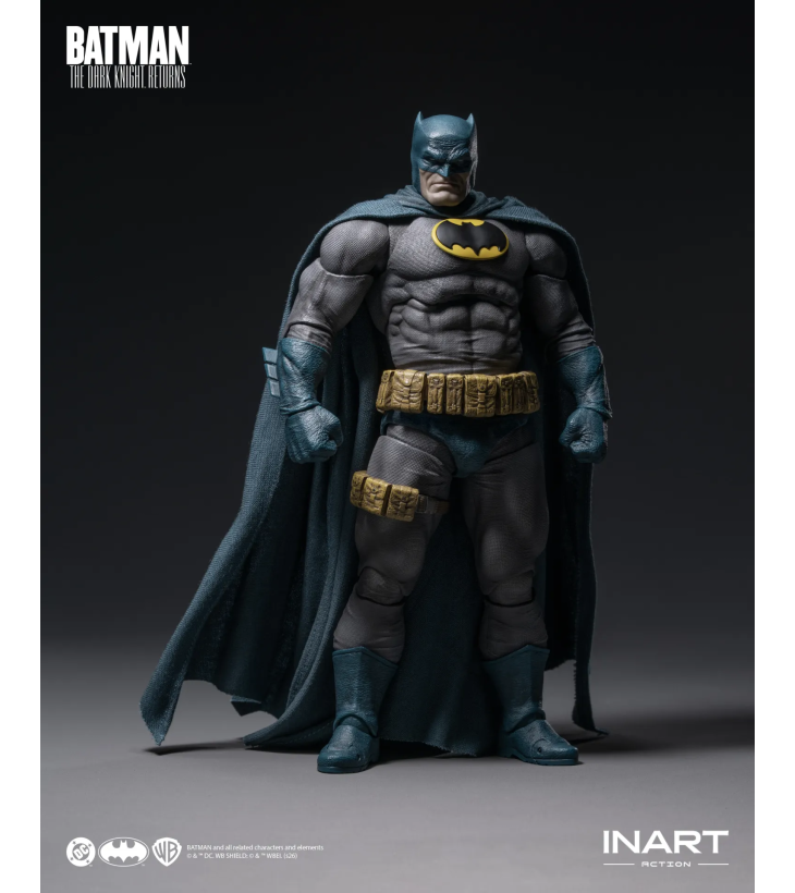 THE DARK KNIGHT RISES INART...