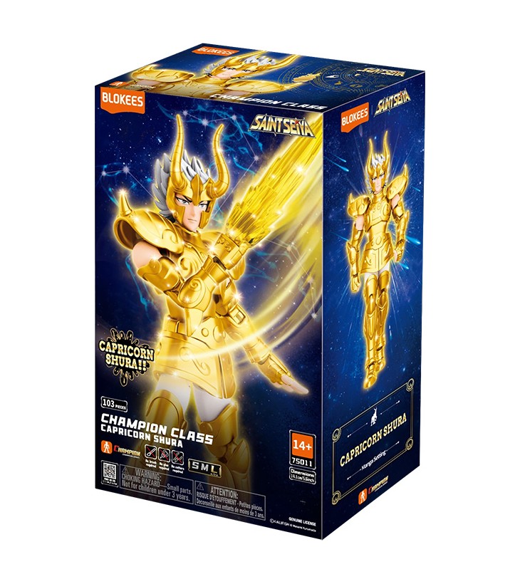 SAINT SEIYA BLOKEES...
