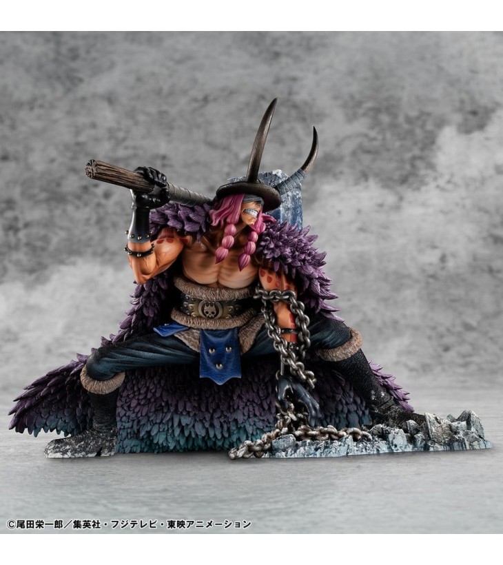 ONE PIECE PORTRAIT OF...